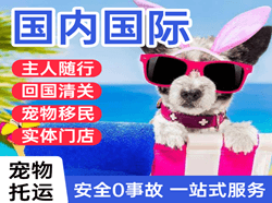 承德普宁机场空运国际宠物托运 【国